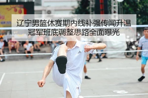 辽宁男篮休赛期内线补强传闻升温 冠军班底调整思路全面曝光